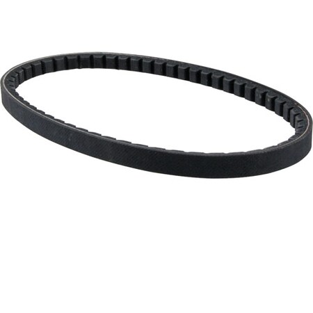 Allpoints Belt, Ax21 1591159